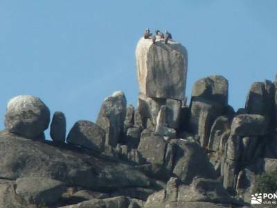 Mondalindo - Mina plata Indiano; sierra de tejeda almijara y alhama sierra del cadi parque natural d